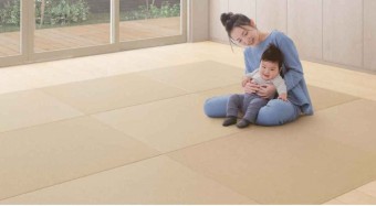 畳の部屋 0102_D1521_0136